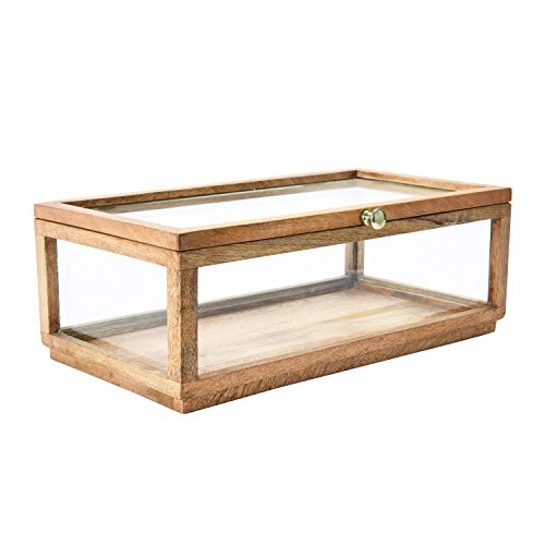 Creative Co-Op Mango Wood & Glass Display Lid Storage Box, Natural