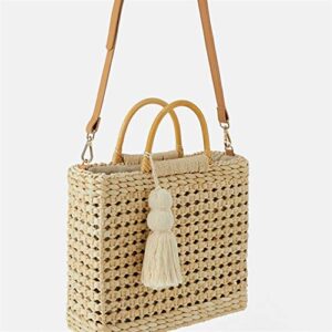 QZUnique Women's Summer Straw Shoulder Bag Lining Handbag Tassel Wooden Handles Handwoven Crossbody Hobo Bag Purse