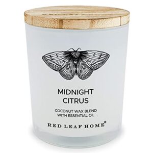 Red Leaf Home | Midnight Citrus Jar Candle with Wooden Lid | Medium | Aromatherapy | Vintage Insect Collection | 11oz