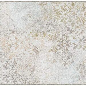 Brumlow MILLS Cordelia Antique Distressed Print Washable Indoor/Outdoor Area Rug for Living or Dining Room, Bedroom Carpet Rug and Kitchen Rugs, 30" x 46", Neutral