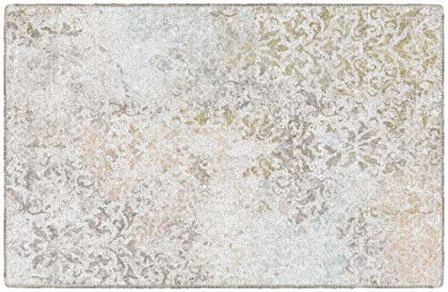 Brumlow MILLS Cordelia Antique Distressed Print Washable Indoor/Outdoor Area Rug for Living or Dining Room, Bedroom Carpet Rug and Kitchen Rugs, 30" x 46", Neutral