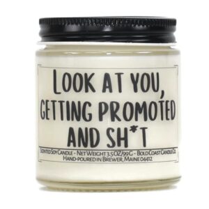 look at you, getting promoted and sh*t soy candle (lavender fields, 3.5 oz)