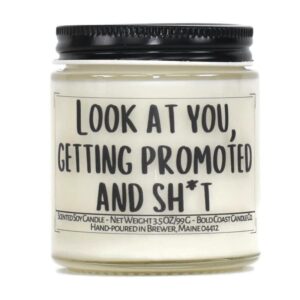 Look at you, Getting Promoted and Sh*t Soy Candle (Lavender Fields, 3.5 oz)