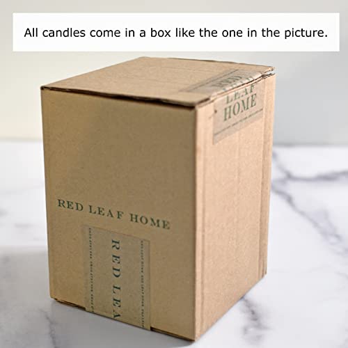 Red Leaf Home | Honey Magnolia Jar Candle with Wooden Lid | Medium | Honeycomb Collection, Aromatherapy, Gift | 11oz