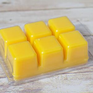 Summer Day Wax Melts Honeysuckle + Jasmine | Floral Scent Melts Clamshell | Valentines Day Aromatherapy Gift for Mom - 3 oz.