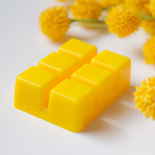 Summer Day Wax Melts Honeysuckle + Jasmine | Floral Scent Melts Clamshell | Valentines Day Aromatherapy Gift for Mom - 3 oz.