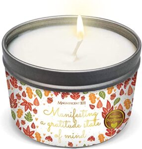 magnificent 101 manifesting a gratitude state of mind tin candle 6oz
