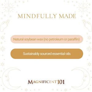 Magnificent 101 MANIFESTING A Gratitude State of Mind Tin Candle 6oz