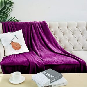 vansilk super soft flannel fleece throw blanket warm fluffy solid throw for bed and couch (purple 60”x80”)