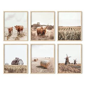 haus and hues highland cow art and farmhouse wall decor cow wall art and farmhouse prints unframed, cow painting, cow prints wall art, farm pictures wall decor, cow wall décor