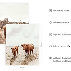 HAUS AND HUES Highland Cow Art and Farmhouse Wall Decor Cow Wall Art and Farmhouse Prints Unframed, Cow Painting, Cow Prints Wall Art, Farm Pictures Wall Decor, Cow Wall Décor