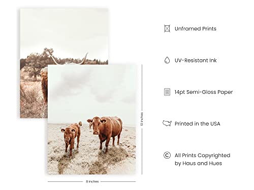 HAUS AND HUES Highland Cow Art and Farmhouse Wall Decor Cow Wall Art and Farmhouse Prints Unframed, Cow Painting, Cow Prints Wall Art, Farm Pictures Wall Decor, Cow Wall Décor