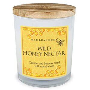 red leaf home | wild honey nectar candle, medium | honeycomb collection, aromatherapy, gift | 11oz jar