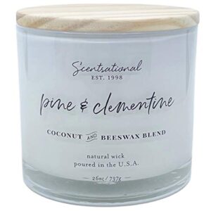 scentsational large pine and clementine scented candle white