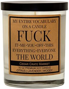 funny candles – funny gifts for women, best friend, friend gifts, bff gifts, friendship, gifts for her, him, gifts for men, boss, coworker gifts, fun birthday gifts, christmas, hand poured in usa