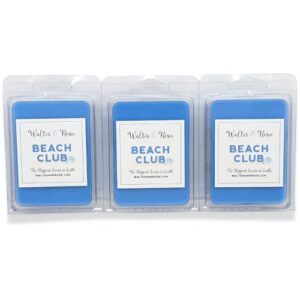 walter & rosie candle co. – beach club wax melt – 3 pack – scented candles inspired by disney scents – smell like disney resorts – the happiest scents on earth – soy blend – up to 18 hrs