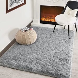 Kimicole Grey Area Rug for Bedroom Living Room Carpet Home Decor, Upgraded 5x8 Cute Fluffy Rug for Apartment Dorm Room Essentials for Teen Girls Kids, Shag Nursery Rugs for Baby Room Decorations