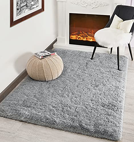 Kimicole Grey Area Rug for Bedroom Living Room Carpet Home Decor, Upgraded 5x8 Cute Fluffy Rug for Apartment Dorm Room Essentials for Teen Girls Kids, Shag Nursery Rugs for Baby Room Decorations