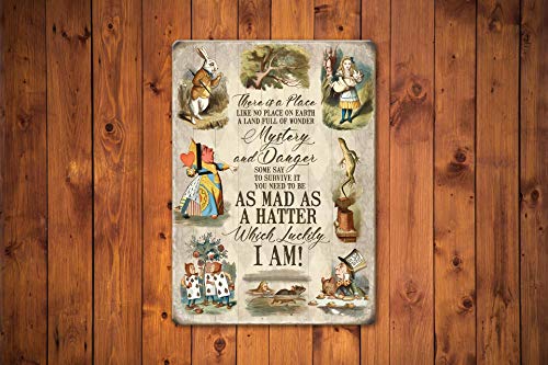 Agedsign Alice in Wonderland Poster, Vintage Metal Tin Sign There is a Place Quotes Decor Gifts for Girls Living Room Party Decorations 12 x 8 inches