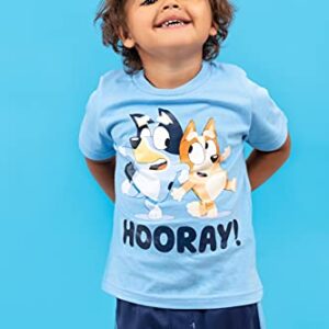 Bluey Toddler Boys T-Shirt and Mesh Shorts Outfit Set 2T