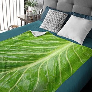 ARTBLANKET Lettuce Blanket for Fall Winter Spring All Season Warm Fuzzy 40x30 in for pet Microplush Lightweight Thermal Fleece Summer Autumn Blankets for Couch Bed Sofa