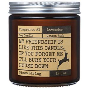 lavender candles gifts for women – my friendship is like this candle – scented candles are the ideal funny gifts for women in your life – extra large 25oz g.w with 12.5oz of wax! (lavender)