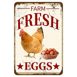 anjooy metal tin signs – farm fresh eggs – chicken funny kitchen farmhouse store market country farm barn supermarket outdoor wall decor art 8″x12″
