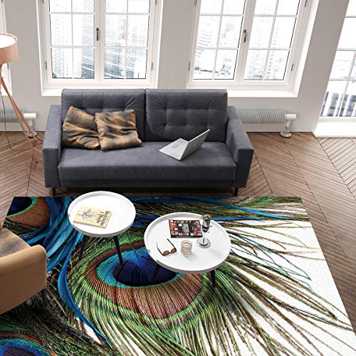 Area Rug for Bedroom Living Room- Elegant Peacock Feather Abstract 3D Painting Art Contemporary Floor Carpet Comfy Runner Rug Nursery Playmats Home Decor Mat, 4'x6'