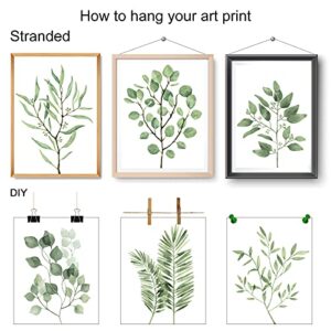 Tevxj 9PCS Botanical Plant Wall Art Prints Green Plant Wall Decor Boho Herb Wall Decor Pictures Minimalist Wall Art Photo Prints for Living Room Kitchen Leaves (8"x10", Unframed)