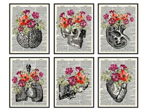 heart, skull, brain, lungs, kidney, liver wall art decor – human anatomy room decorations – medical office decor – shabby chic gift for for doctor, nurse, women, rn – poster picture prints set