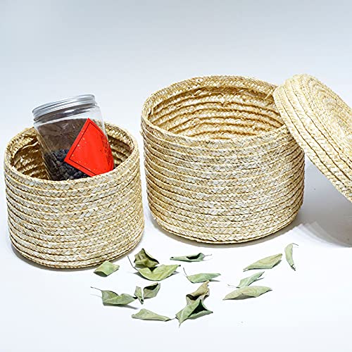 Zhuxin Woven Straw Storage Baskets with Lid, Rattan Snack Container Multipurpose Bins Laundry Toys Organizer Household