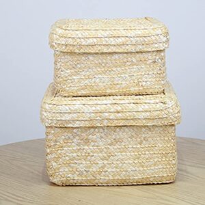 Zhuxin Woven Straw Storage Baskets with Lid, Rattan Snack Container Multipurpose Bins Laundry Toys Organizer Household