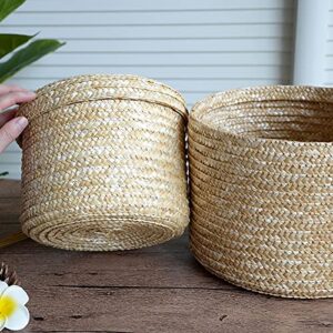Zhuxin Woven Straw Storage Baskets with Lid, Rattan Snack Container Multipurpose Bins Laundry Toys Organizer Household