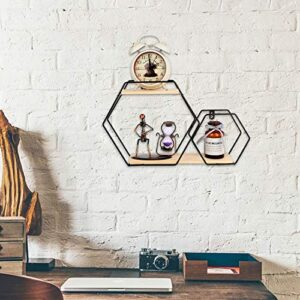 Wonoder Wall Shelf,Rustic Wood Floating Shelves,Hexagon Decorative Wall Shelf