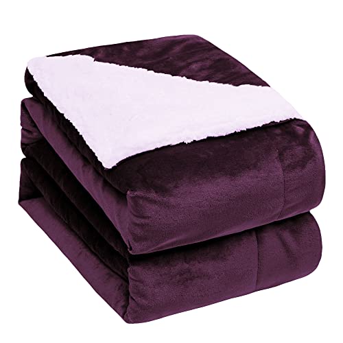 RONGTAI Sherpa Fleece Bed Blanket,Lightweight Cozy Thick Throw Blankets for Couch,Dark Purple-Throw（50"x60"）