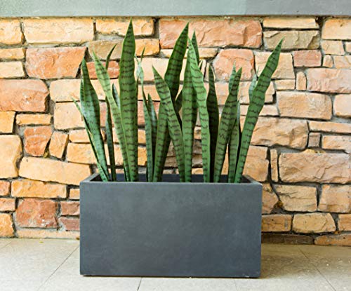 Kante RF0104A-C60121 Lightweight Concrete Modern Long Low Outdoor, Small Planter, Charcoal/Cement