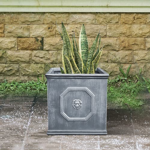 Kante Lightweight Classic Square English Style Lion Head Planter 12.6"x12.6"x12.6" Antique Gray