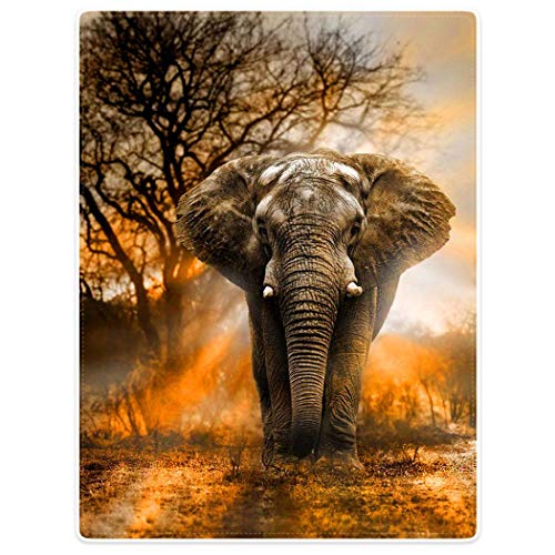 HommomH 50"x60" Orange African Elephant Blanket Soft Fluffy Fleece Throw for Women