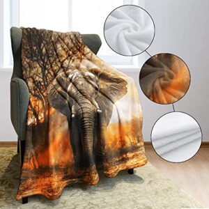 HommomH 50"x60" Orange African Elephant Blanket Soft Fluffy Fleece Throw for Women
