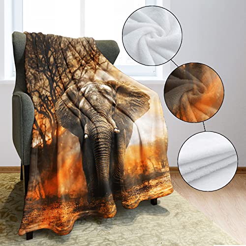 HommomH 50"x60" Orange African Elephant Blanket Soft Fluffy Fleece Throw for Women