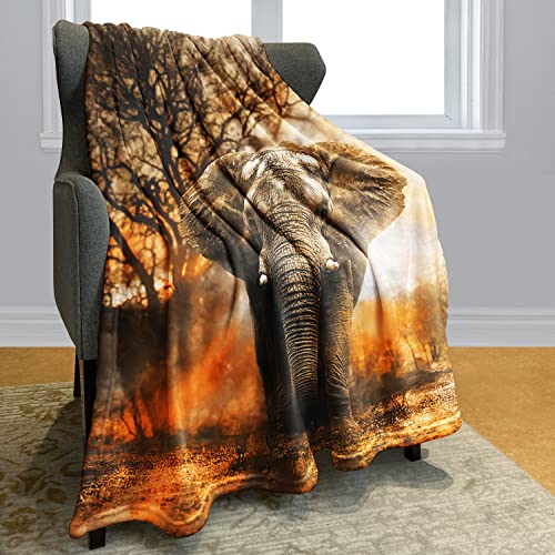 HommomH 50"x60" Orange African Elephant Blanket Soft Fluffy Fleece Throw for Women