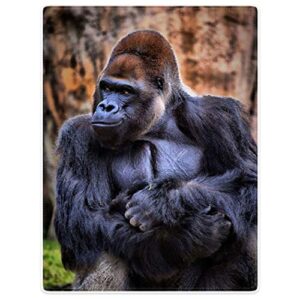 hommomh gorilla blanket,african animals wild,soft fluffy fleece throw 60″x80″,black