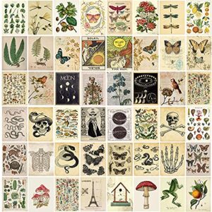 vintage wall collage kit aesthetic pictures cottagecore botanical wall posters for room aesthetic decor nature illustration boho trendy indie wall photo prints for girls teens bedroom school dorm wall art