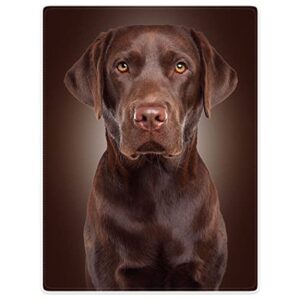 hommomh chocolate lab blanket, brown labrador dog print, soft fluffy fleece throw, 40″x50″
