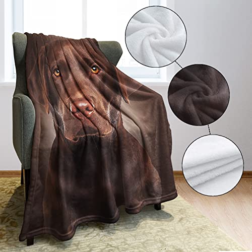 HommomH Chocolate Lab Blanket, Brown Labrador Dog Print, Soft Fluffy Fleece Throw, 40"x50"