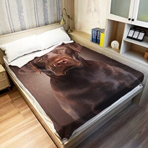 HommomH Chocolate Lab Blanket, Brown Labrador Dog Print, Soft Fluffy Fleece Throw, 40"x50"