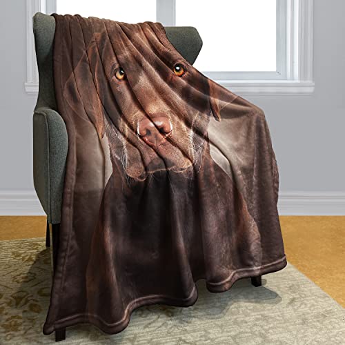 HommomH Chocolate Lab Blanket, Brown Labrador Dog Print, Soft Fluffy Fleece Throw, 40"x50"