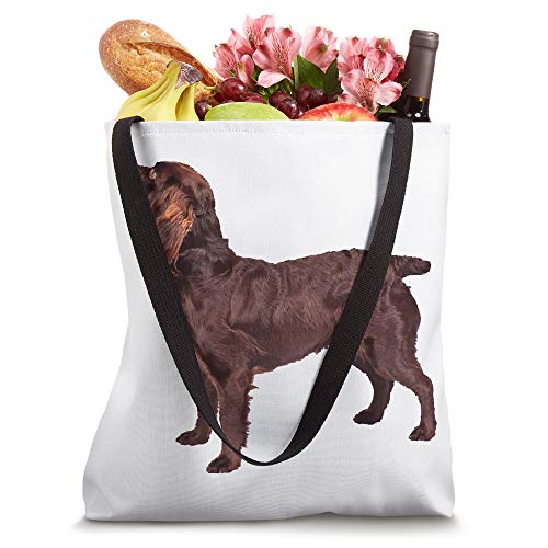 Boykin Spaniel Gift Tote Bag