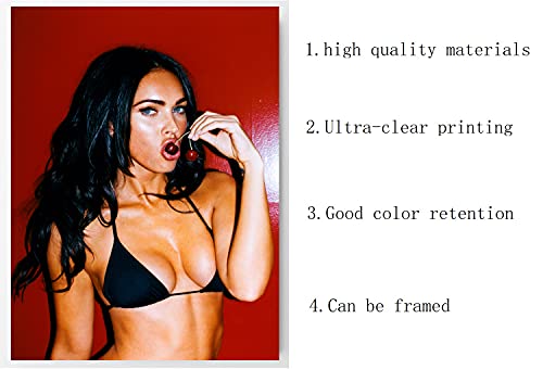 DOMINOSTRSE Megan Fox Sexy playful Poster 16''x20'' Unframed Poster Print (B)