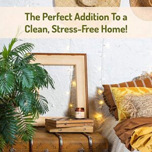 Maison Palo Santo Palo Santo from Ecuador and Greek Sage Essential Oils Aromatherapy Natural Soy Wax Candle for Home Cleansing Blessing Handcrafted in USA 4oz Gift Ready Free Palo Santo Included.